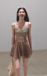 Gradient Mesh Spring Dress